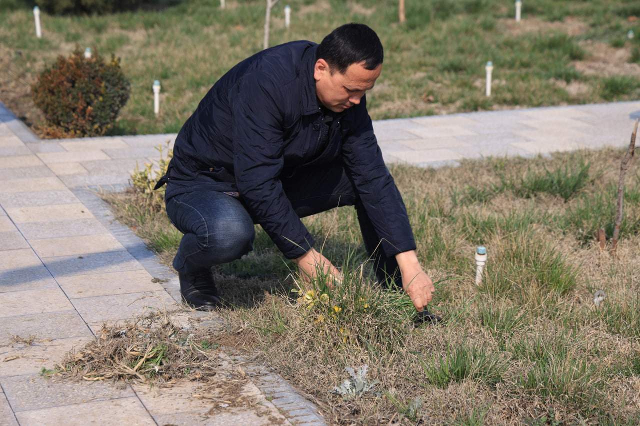 Umumxalq hayriya hashari: “Yurt obodligi, avvalo, mahalladan boshlanadi!” 6